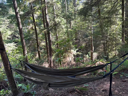 2 Person Hammock